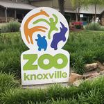 Knoxville Zoo Drive