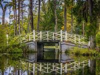 Cypress Gardens