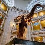 Museums