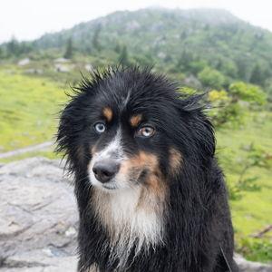 Jasper Haircuts
