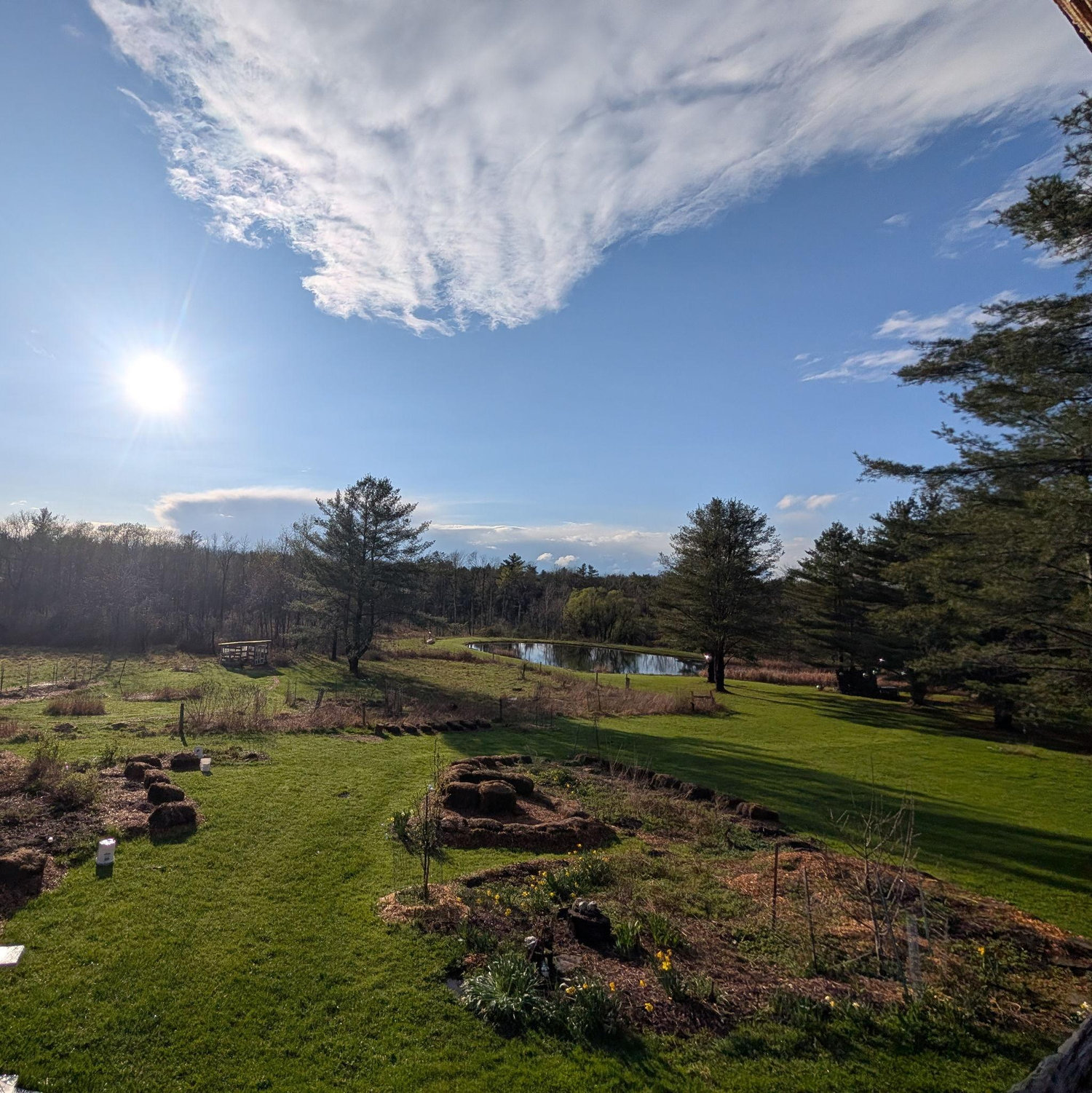 Swampy Wedding Location/ View from Our Cabin <3