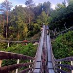 Smoky Mountain Alpine Coaster