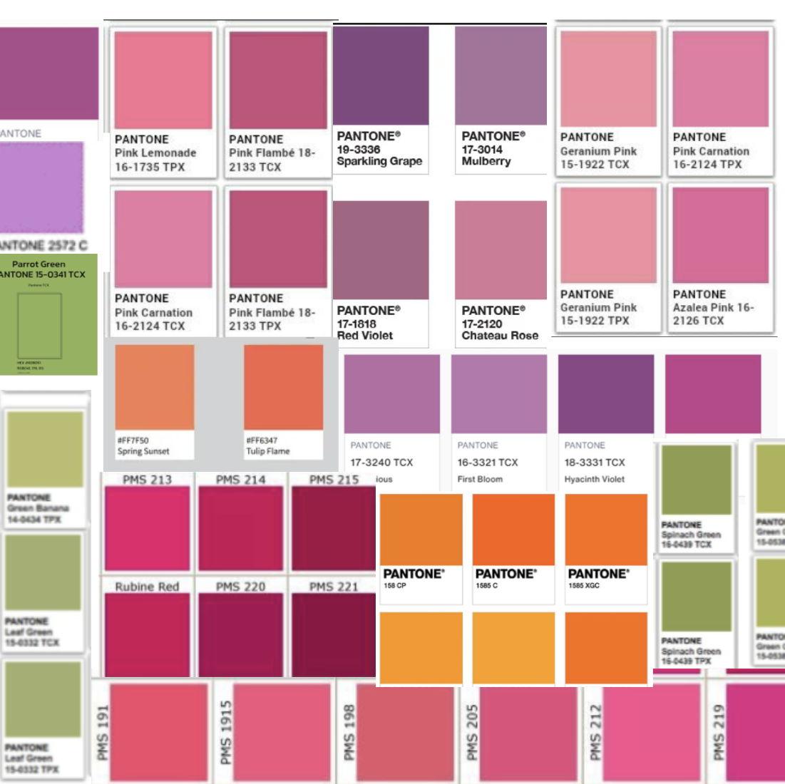 color theme