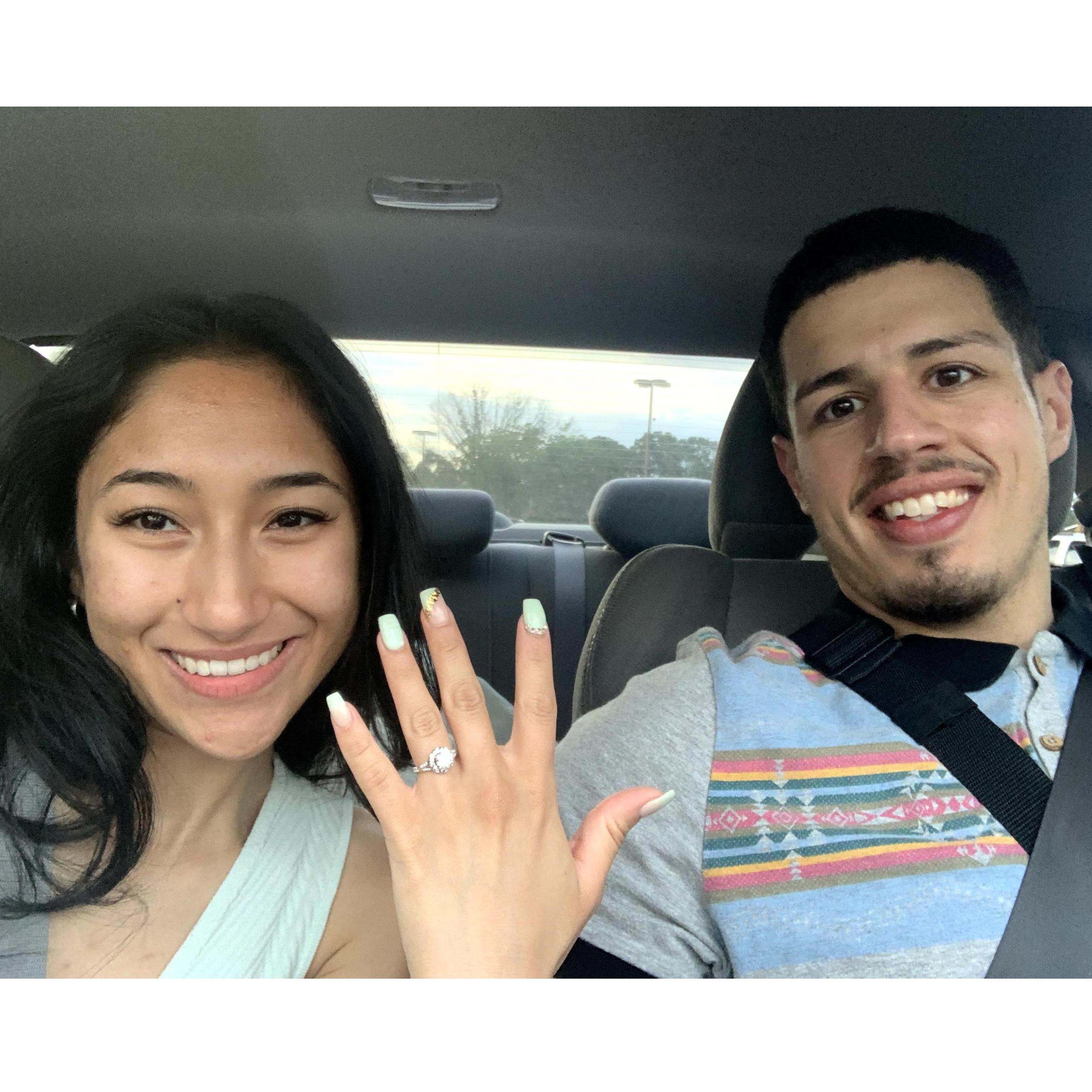 Birthday/Proposal