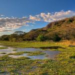 Parque Nacional Palo Verde