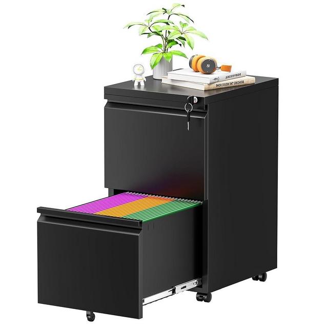 Greenvelly 2 Drawer Mobile File Cabinet with Lock, Metal Filing Cabinet on Wheels, Under Desk File Cabinet for Home Office Organizer Letter/Legal/A4 File (Assembly Required, Black)