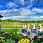 Laurentia Vineyard & Winery