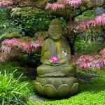 Visit the Ganna Walska Lotusland Gardens 🌷