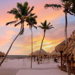 Honeymoon to Puerto Vallarta!