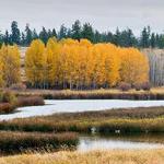 Turnbull National Wildlife Refuge