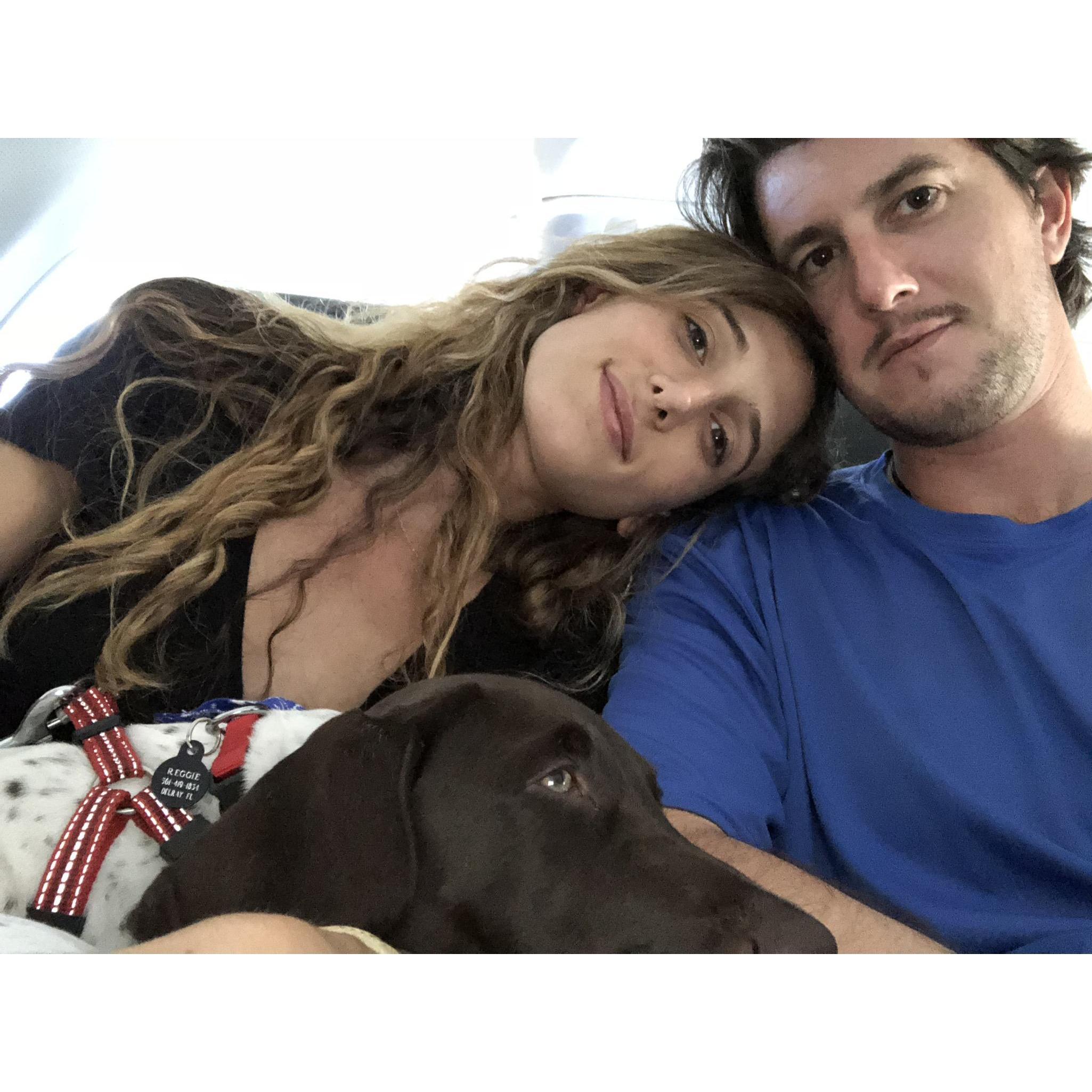 Reggie providing emotional support on the plane to Long Island