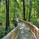 Fox Hollow Trail, Paoli PA