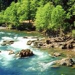 Swim or Float the Clackamas River