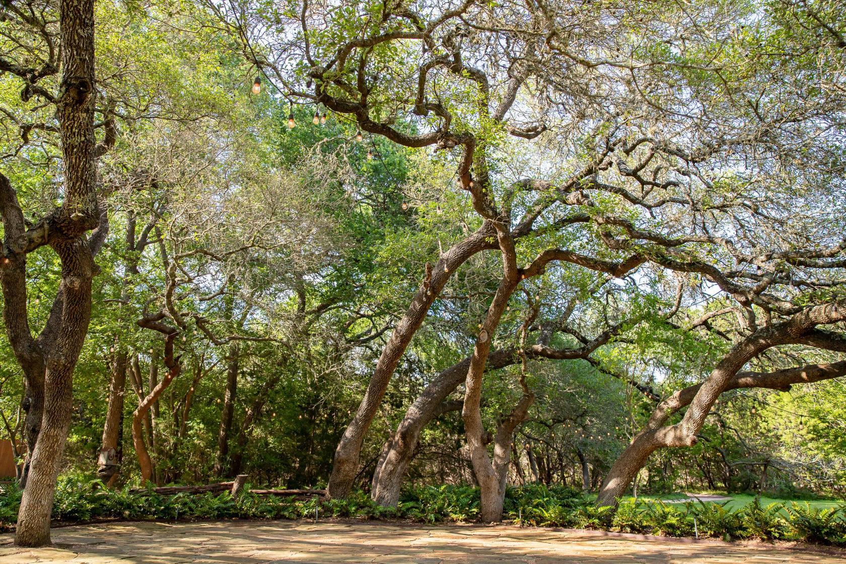 The Wedding Website of Emma Seal and Ian Ray