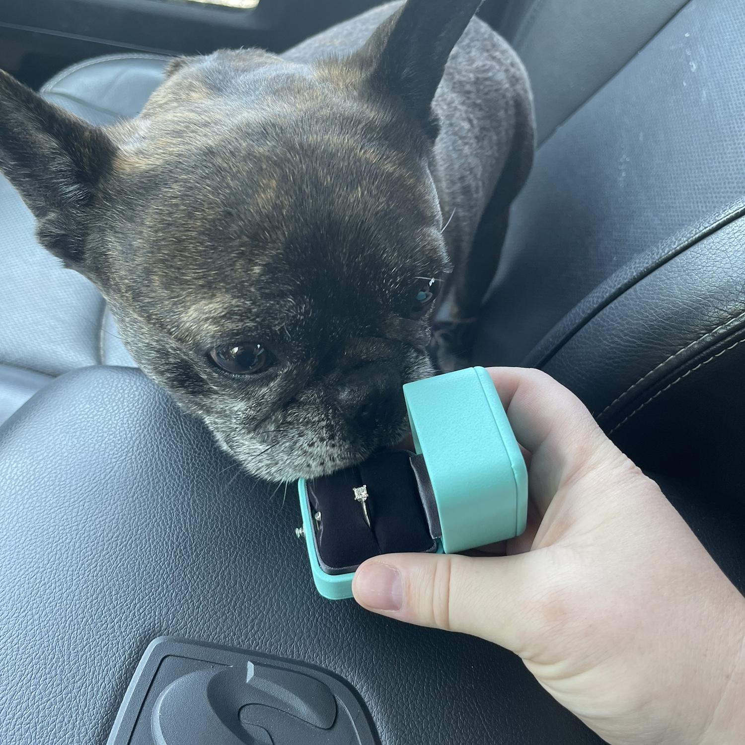 He had to get a better look