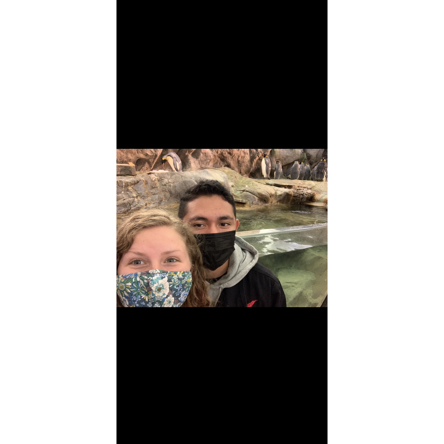 Zoo Trip