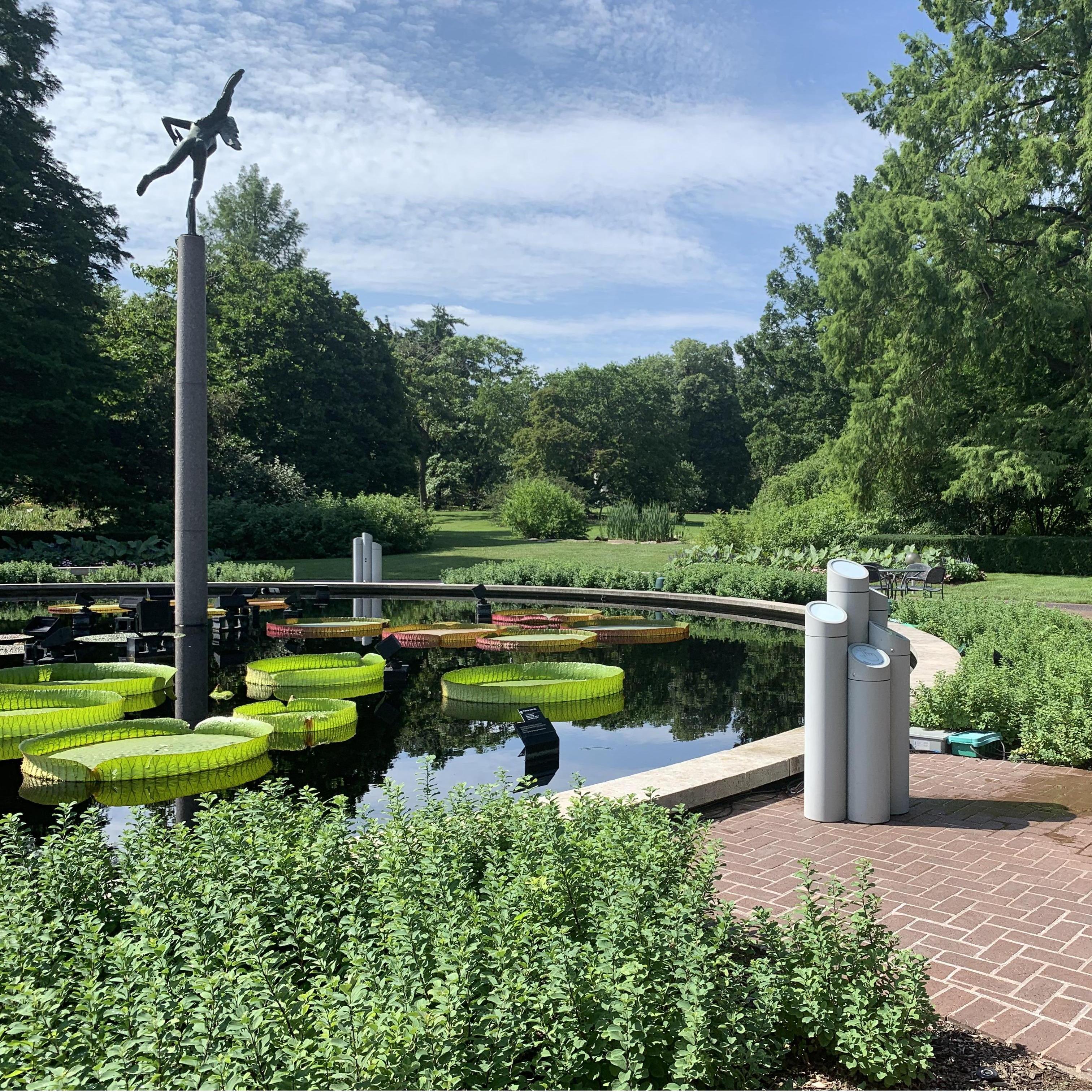 Uchenna's first visit to the Missouri Botanical Garden (July 2019)