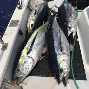 Fishing Charter