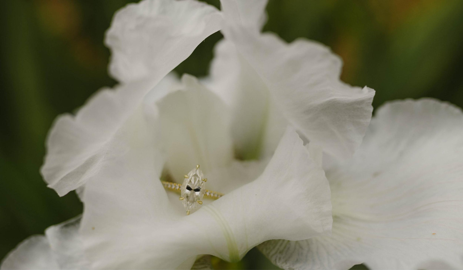 The Wedding Website of Cayla Blevins and Anthony Crum