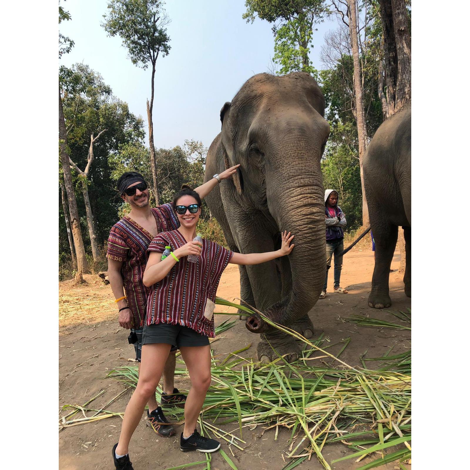 Elephant sanctuary in Thailand!