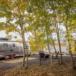 Accommodation Option 1: Onsite RV/Camping