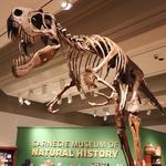 Carnegie Museum of Art & Natural History