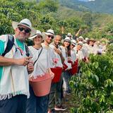 Medellín: Coffee Farm Tour in Barrio La Sierra