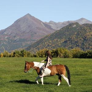 Gas and Feed for Horses in Ceremony
