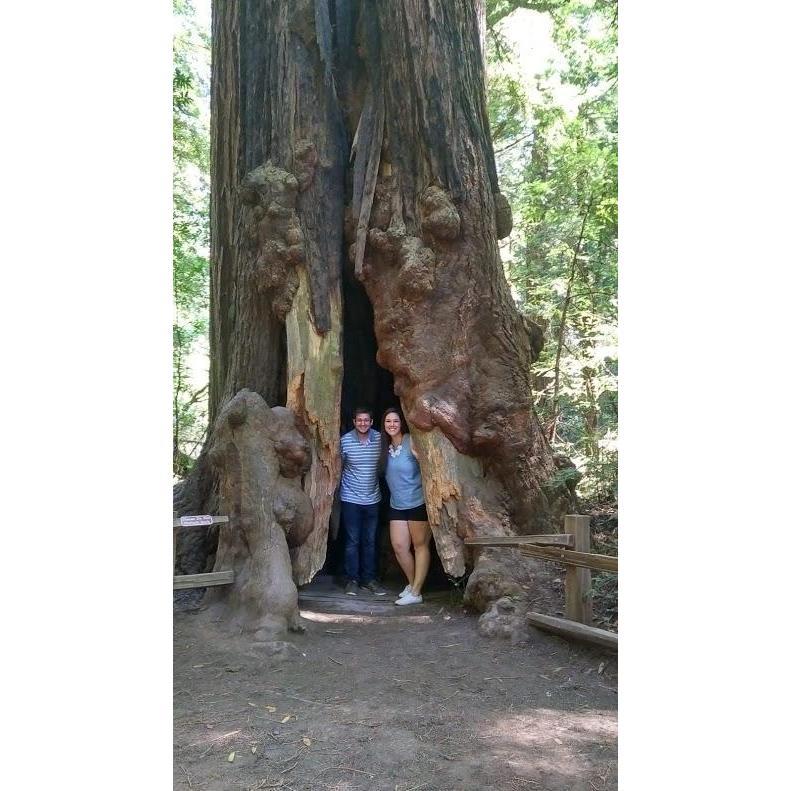 GIANTS at Redwood National Park in San Francisco - July 2019