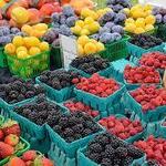 South Bend Farmer's Market