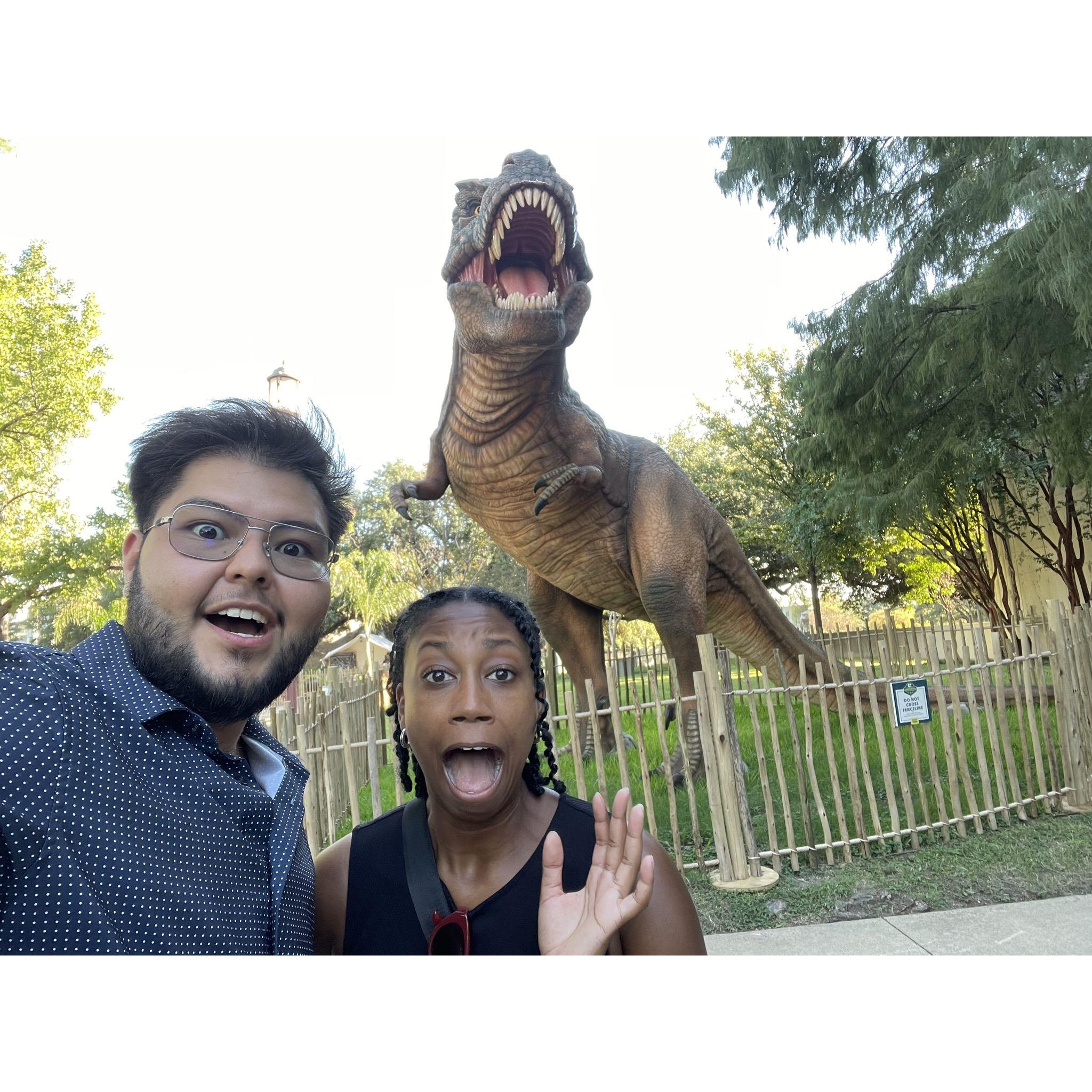 Enjoy the Texas State Fair together for the first time