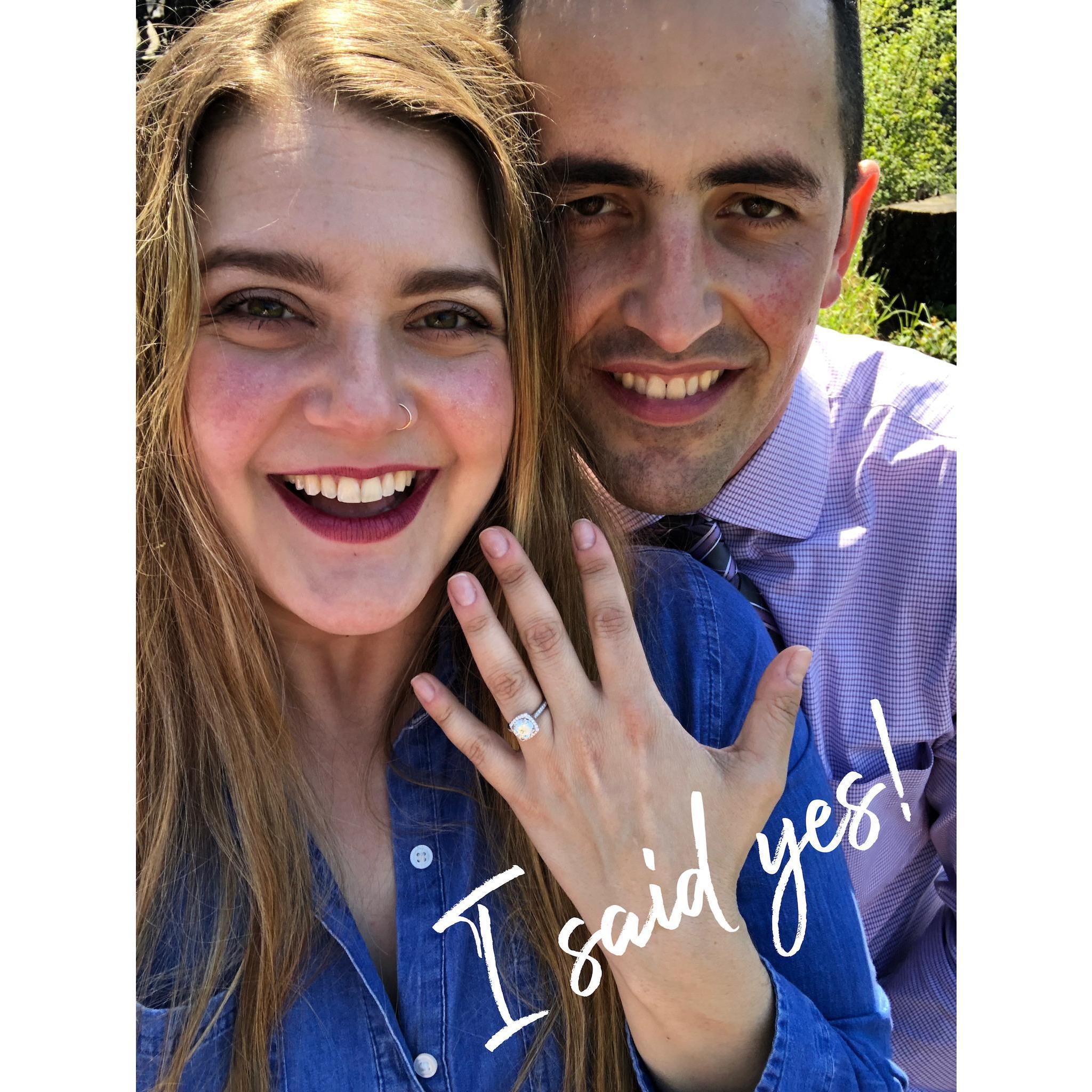 I said yes!