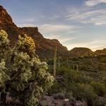 Hieroglyphic Trailhead