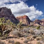 Red Rock Canyon National Conservation Area