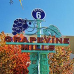 Grapevine Mills Mall