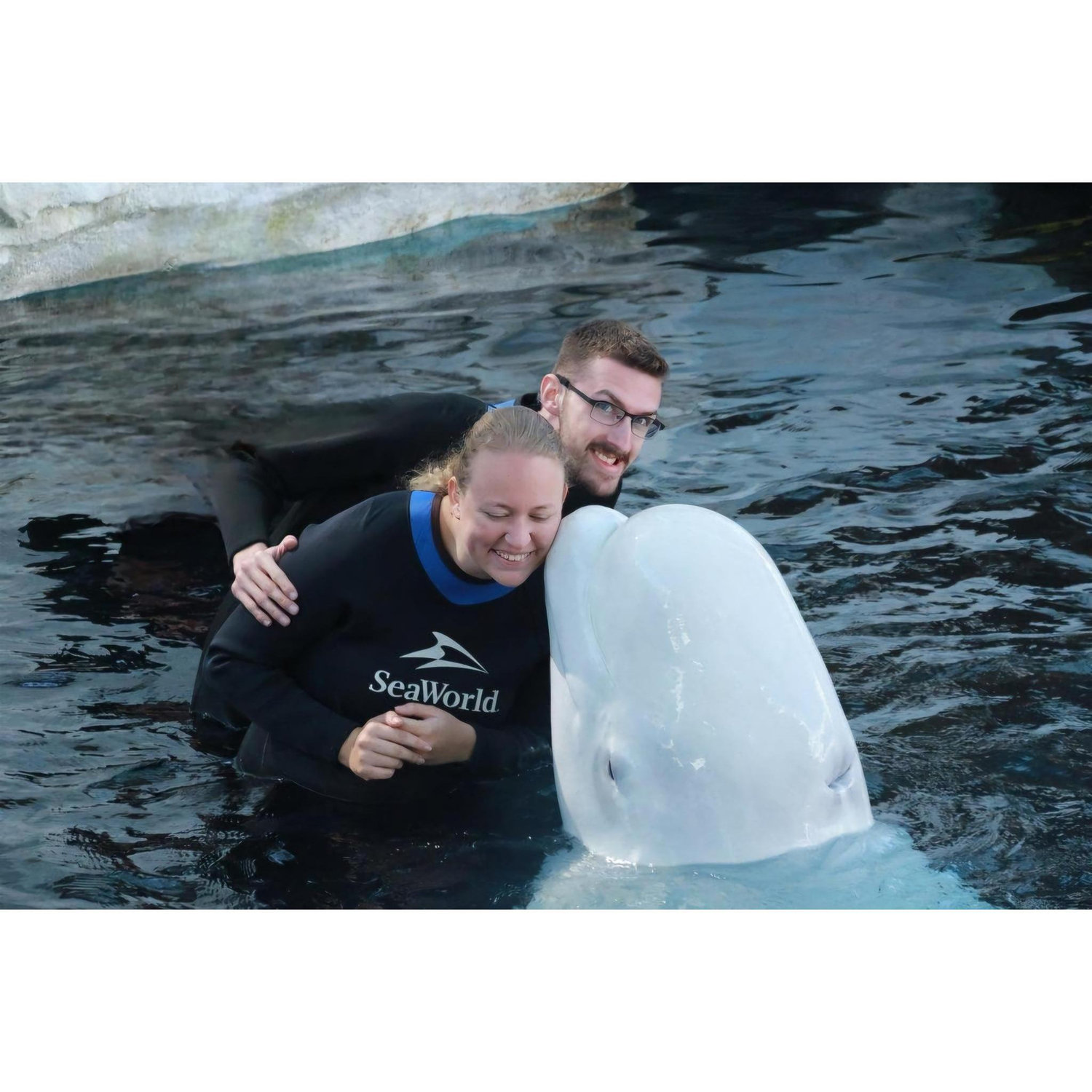 BELUGA!