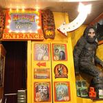Museum of the Weird