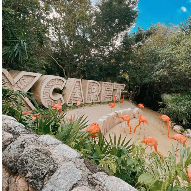 Honeymoon Fund Xcaret México