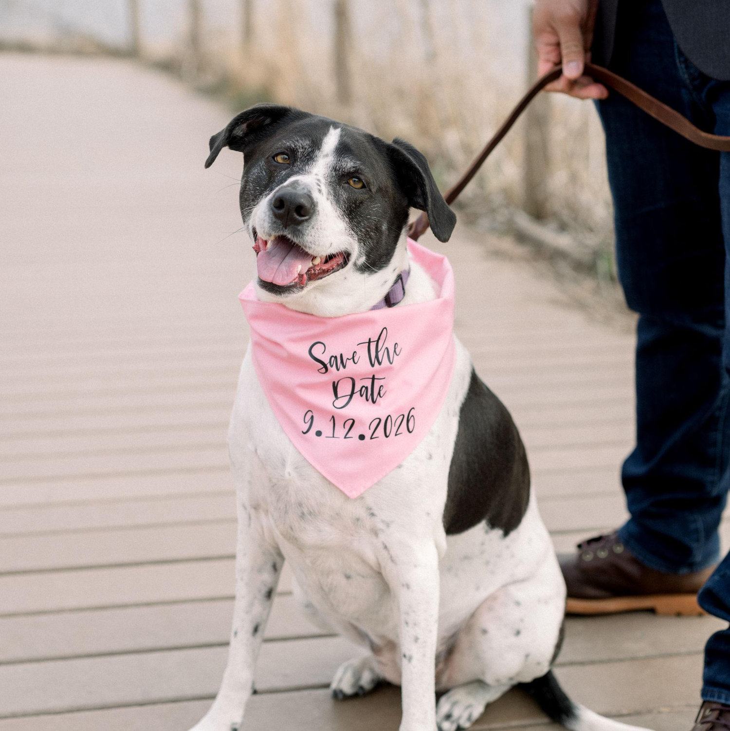 Sadie wants to make sure you save the date!