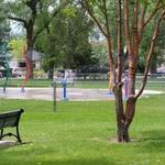 Visit a Park