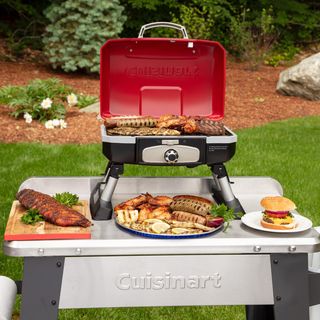 Petite Gourmet Tabletop Gas Grill
