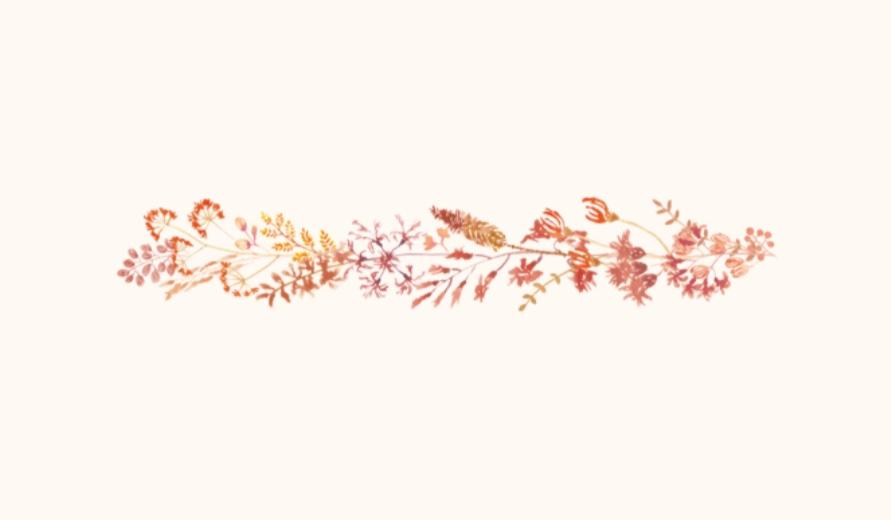 The Wedding Website of Jenna Lynn Tansky and Rollie Oliver Dennison Jr.