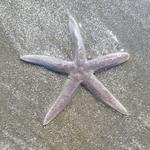 South Carolina Aquarium