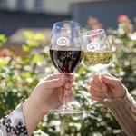 Williamsburg Winery, Ltd.