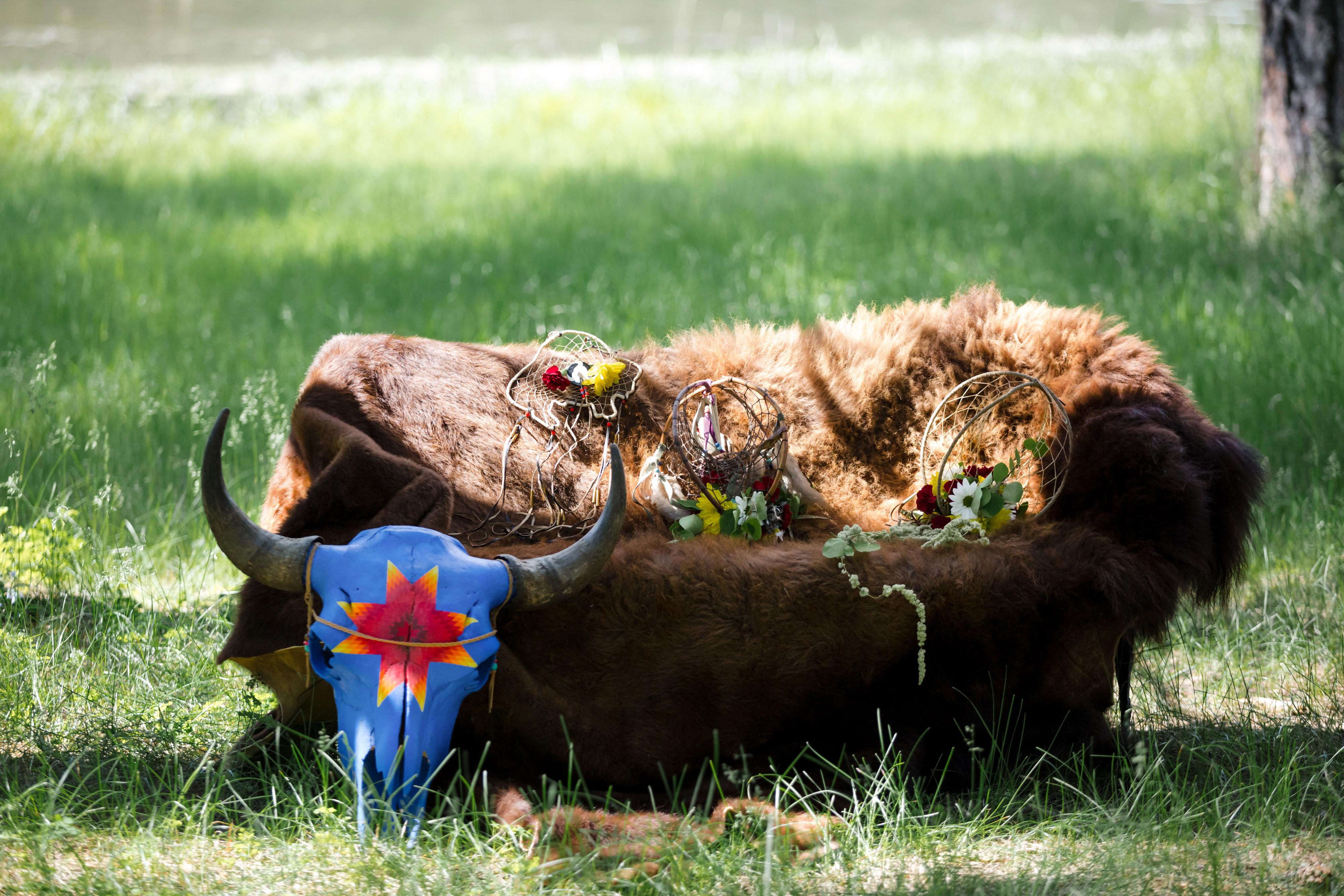 62ad308c-319f-4aa8-8b21-b9a27d4ff96a