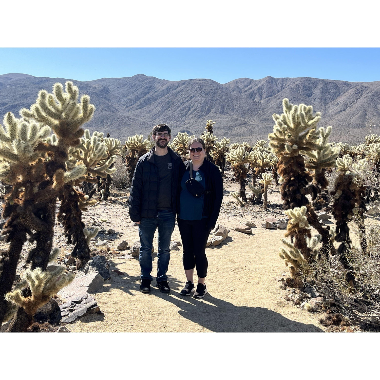 Joshua Tree National Park in California in March 2023. Sarah made Matt get a National Park Passport for all their NPS adventures!