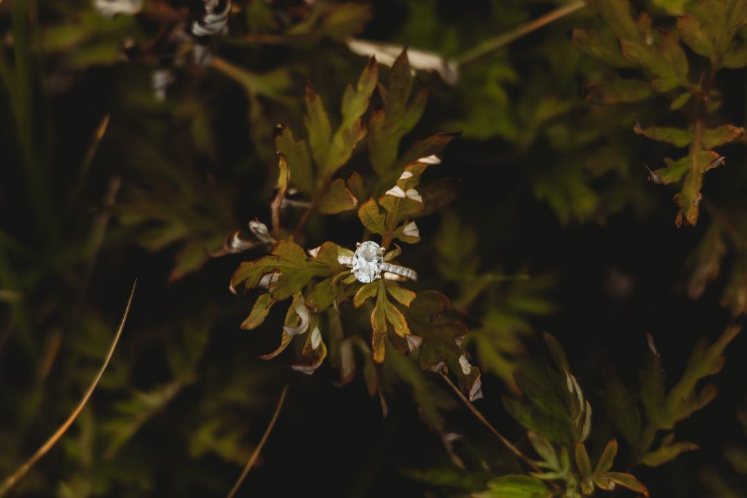 62b00440-7f35-4c6b-a941-e343692647ef