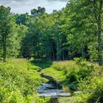 Highland Lakes State Park