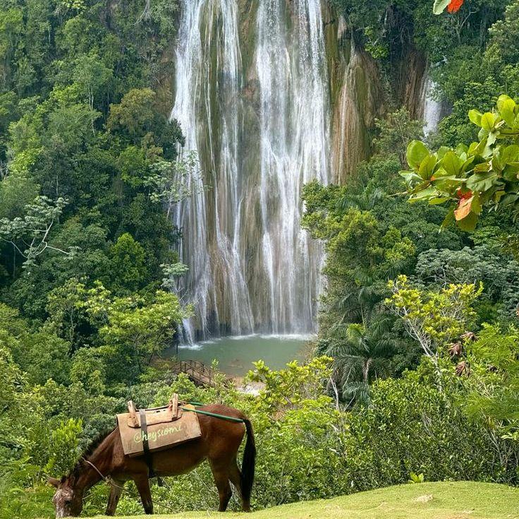 El Salto De Limon Waterfall