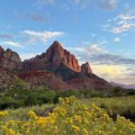 Zion National Park